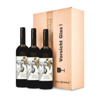 GOODVINES Vorteilspaket Cabernet Sauvignon 3er Pack Wein...